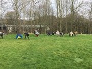 IMG_0272.JPG