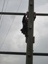 IMG_4232.JPG