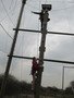 IMG_4234.JPG