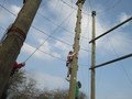 IMG_4360.JPG