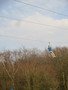 IMG_4424.JPG