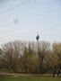 IMG_4425.JPG