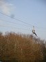 IMG_4437.JPG
