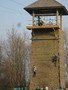IMG_4439.JPG