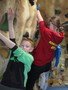 IMG_2782.JPG