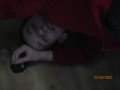 IMG_2798.JPG