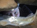IMG_2803.JPG
