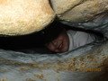IMG_2809.JPG