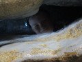 IMG_2829.JPG