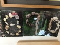 IMG_2336.JPG