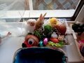IMG_20220328_153436.jpg