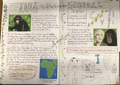 Jane Goodall 2.PNG