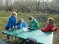 IMG_4283.JPG