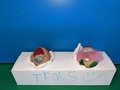 PXL_20220331_085808491.jpg