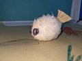 PXL_20220331_090314816.jpg
