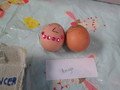 IMG_6597.JPG