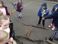 IMG_2394.JPG