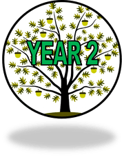 Year 2.png