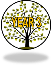 yEAR 3.png