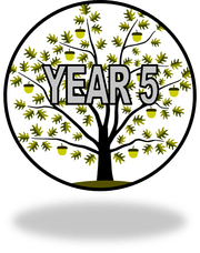 Year 5.png