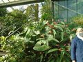 DSC01875.JPG