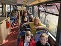 IMG_4784.JPEG