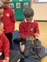 IMG_1651 (1).jpeg