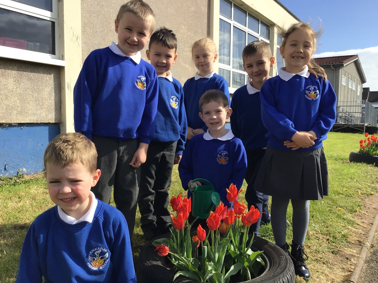 Knockmore Primary School - Home