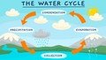water cycle.jpg