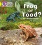 frog_or_toad.jpg