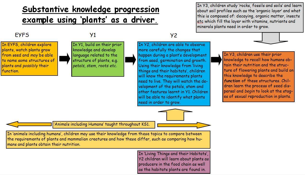 Subject knowledge progression