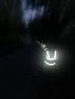JPEG image 39.jpeg