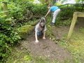 DSCN3602.JPG