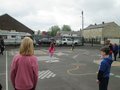 cricket 1.jfif