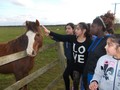 DSCN1661.JPG
