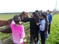DSCN1662.JPG