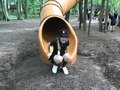 IMG_0812.JPG