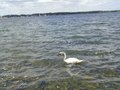 Grafham Water May2022 [FM] (56).JPG