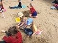 IMG_4329.JPG