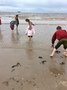 IMG_4458.JPG