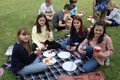 picnic 1.jpg