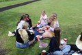 picnic 3.jpg