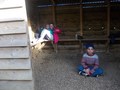 DSCN1533.JPG