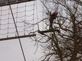 DSCN1654.JPG