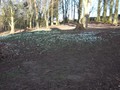 DSCN1784.JPG