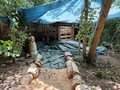 Den building - Forest school 