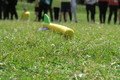 IMG_0226.JPG