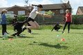 IMG_0259.JPG