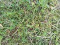 IMG_20220607_094428_077.jpg