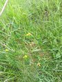 IMG_20220607_102309_118.jpg